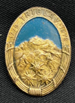 Slovenian Mountaineering Pin 60